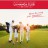 La Manga Family Tournament