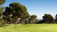 la-finca-fairways