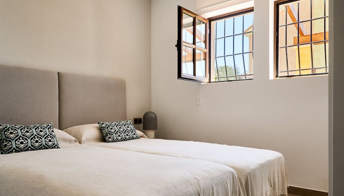 DG bed